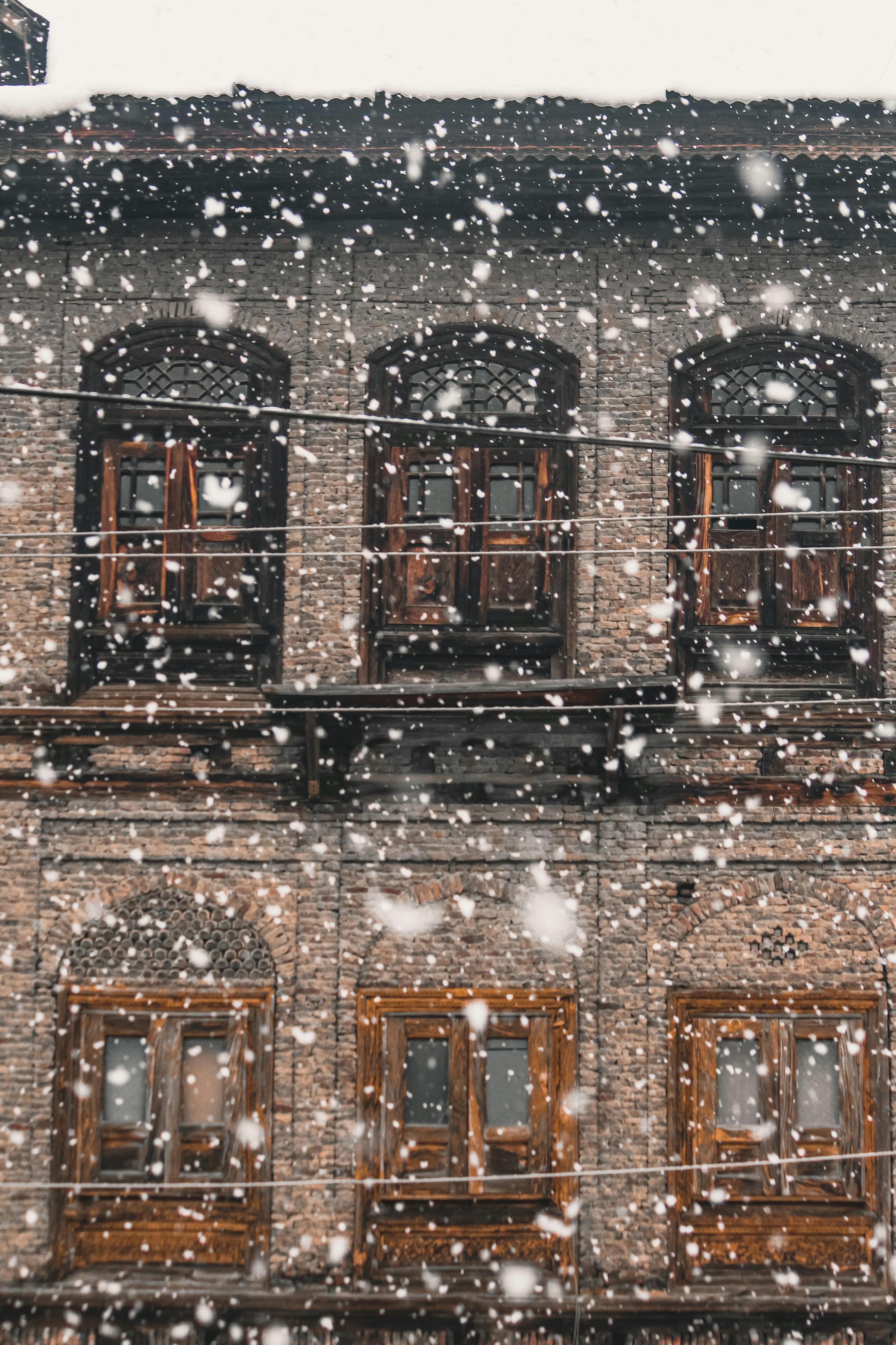 Snow covered windows